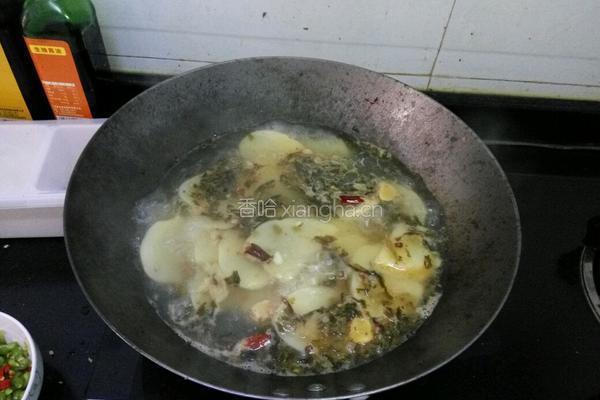 酸腌菜土豆片汤 （攀西特色）的做法图解5