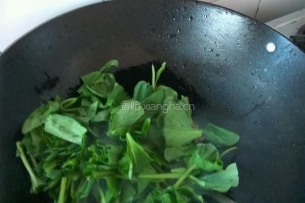 青菜炒香菇的做法图解4