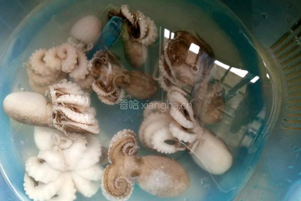 清蒸墨鱼仔的做法图解1