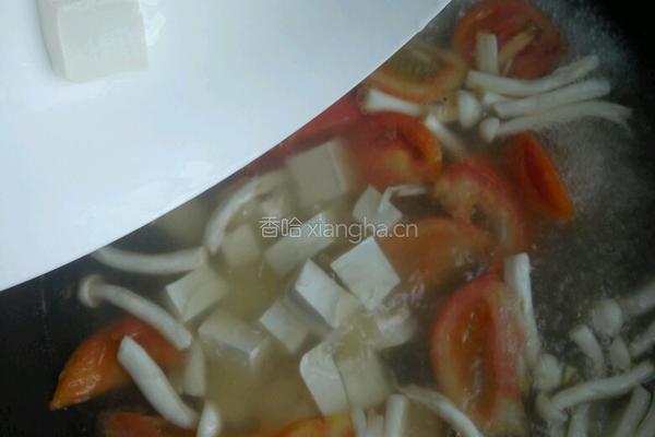 番茄豆腐汤的做法图解6