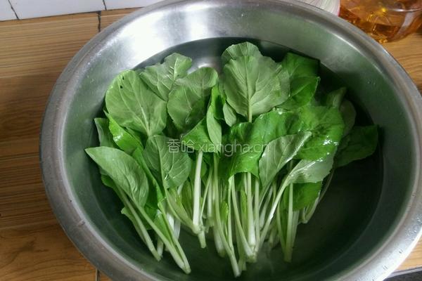 清炒小白菜的做法图解2