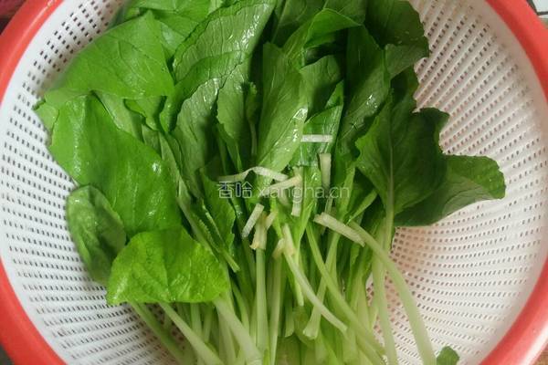 清炒小白菜的做法图解3