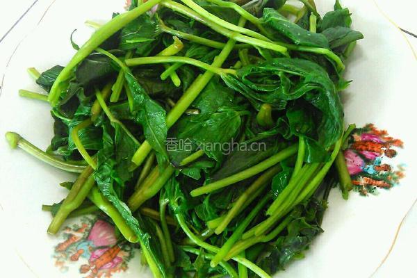 凉拌红薯叶的做法图解5