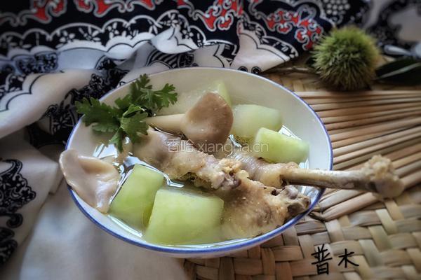 冬瓜菌菇老母鸡汤的做法图解8