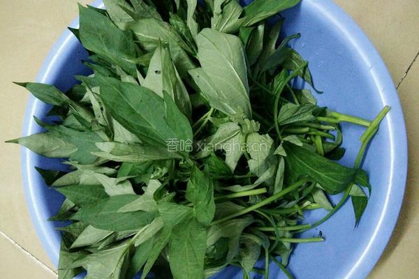 蒜蓉红薯叶的做法图解1