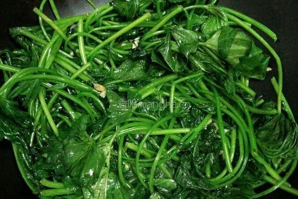 蒜蓉红薯叶的做法图解5
