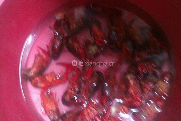 卤煮龙虾的做法图解1