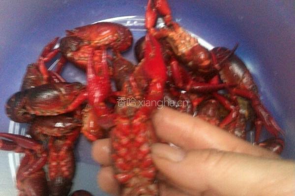 卤煮龙虾的做法图解2