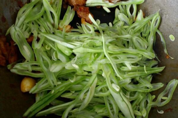 杂炒苦子金豆茄子的做法图解4