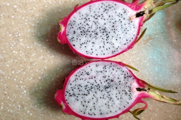 火龙果沙拉的做法图解3