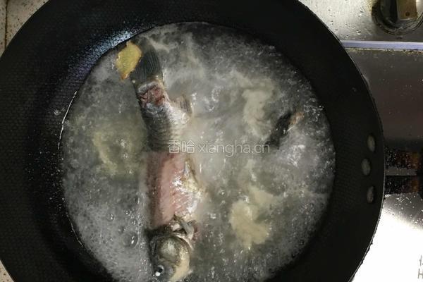 鲫鱼汤的做法图解2