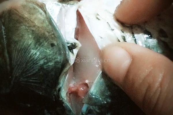 红烧鲤鱼的做法图解2