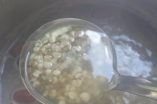薏米绿豆红枣汤的做法图解3