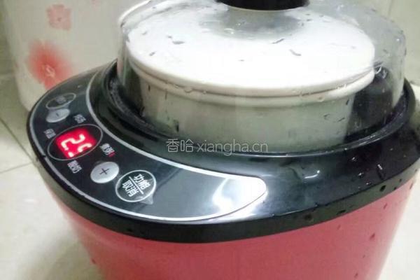 桂圆牛奶炖鱼胶的做法图解2