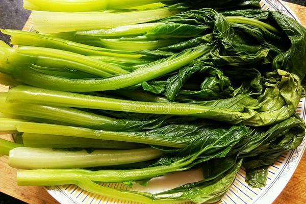 白灼菜心的做法图解2