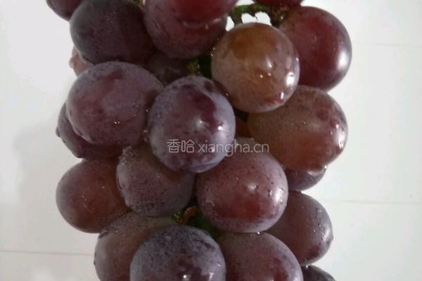 如何洗葡萄的做法图解4