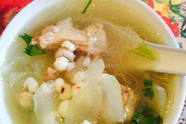 老鸭冬瓜薏米汤的做法图解9