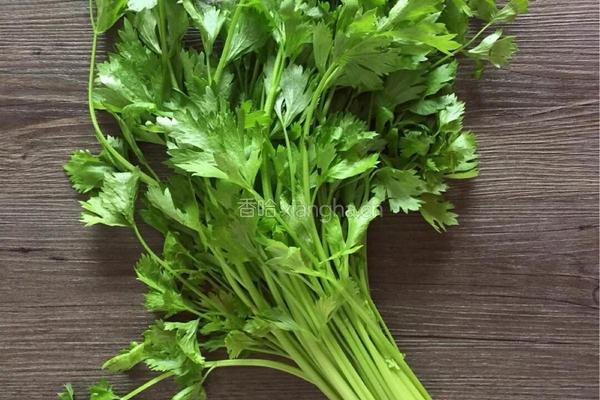 芹菜虾仁的做法图解1