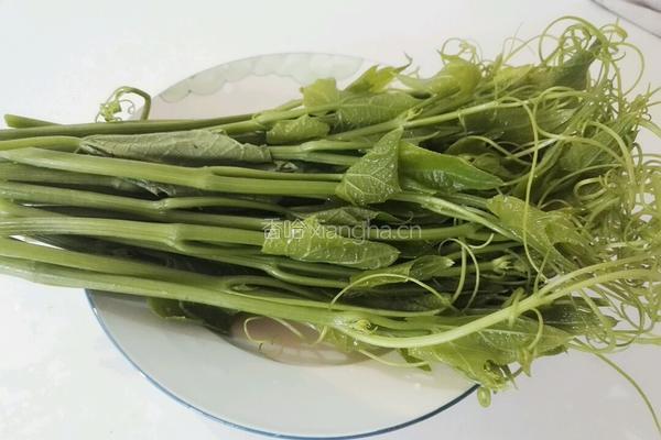 红辣椒拌龙须菜的做法图解1