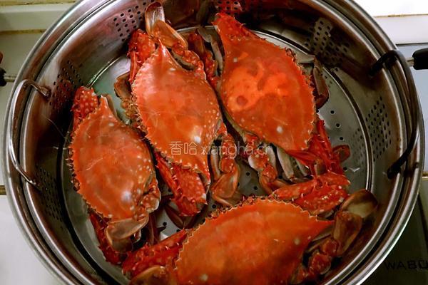 清蒸螃蟹的做法图解7