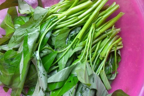水焯空心菜的做法图解1