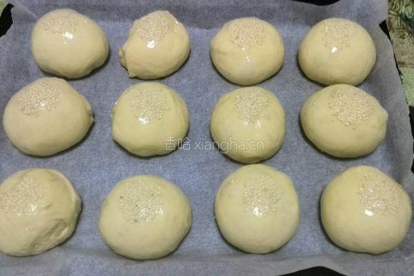 奶香小餐包的做法图解13