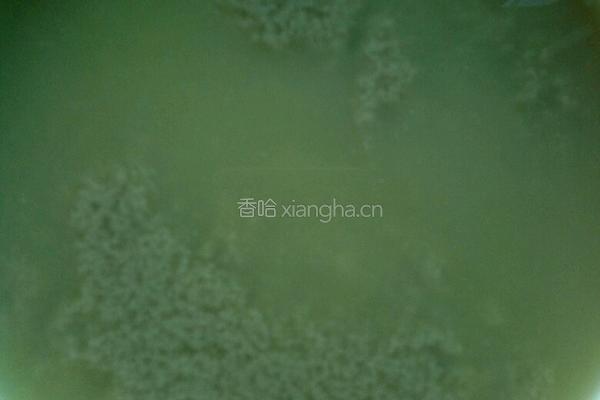 红枣核桃黄豆浆的做法图解6