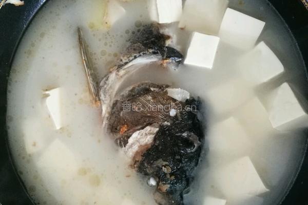 鱼头豆腐汤的做法图解5