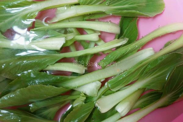 胡萝卜青菜鸡蛋炒粉的做法图解3