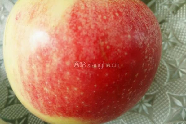 甜蜜果拼的做法图解1