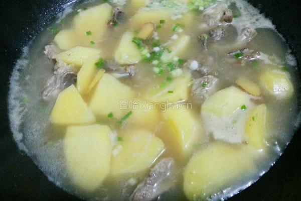 土豆排骨汤的做法图解8