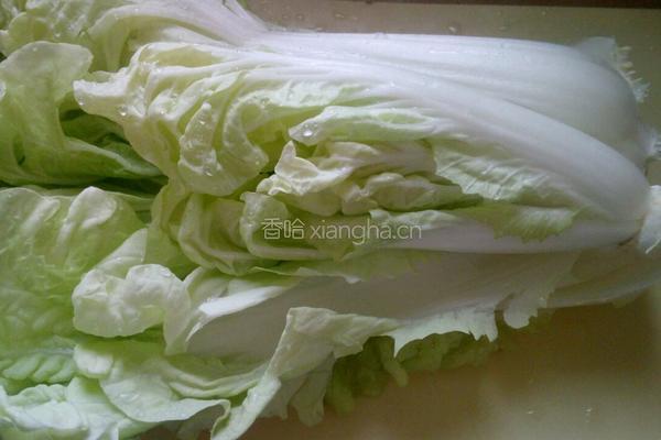 清炒白菜的做法图解1
