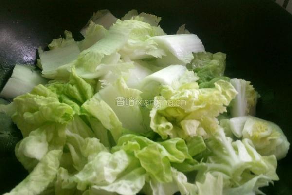 清炒白菜的做法图解3