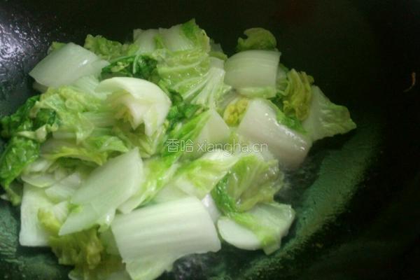 清炒白菜的做法图解4