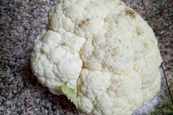 肉片炒花菜的做法图解4