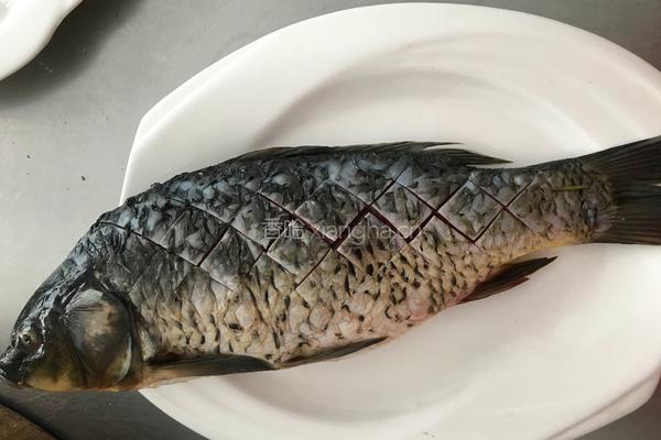 干烧鲤鱼的做法图解1
