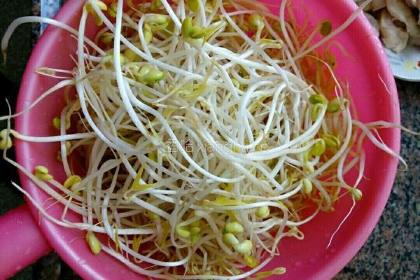 猪大肠炒豆芽的做法图解3