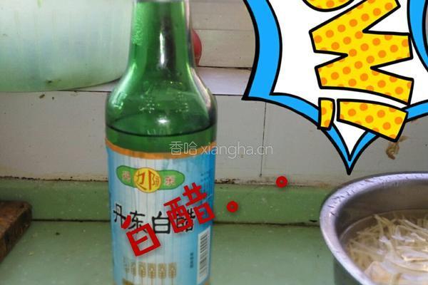 土豆丝卷饼的做法图解3