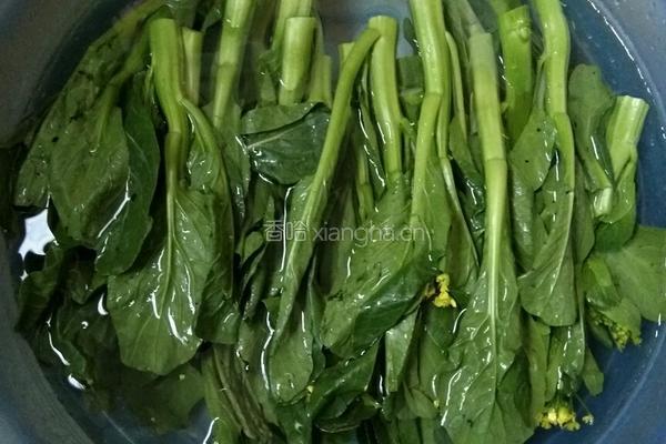 蒜蓉油菜心的做法图解1