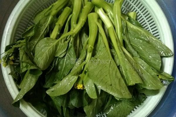 蒜蓉油菜心的做法图解2