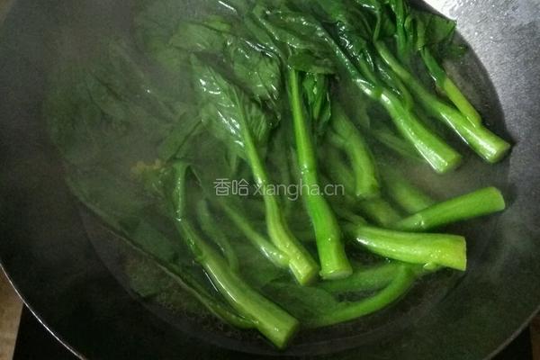 蒜蓉油菜心的做法图解5