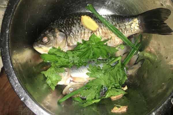 川味家常鲫鱼的做法图解1