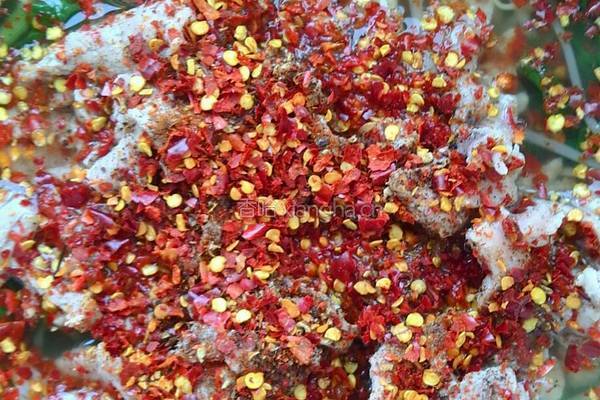 水煮肉片（简易版）的做法图解6