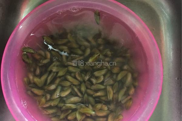 炒薄壳的做法图解1