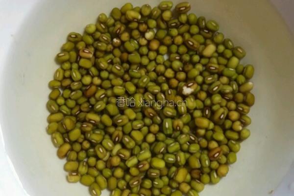 自制绿豆芽的做法图解1