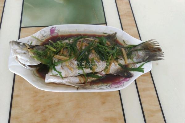 清蒸鲈鱼