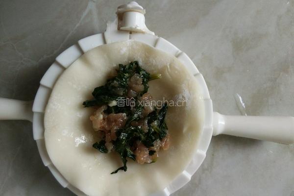 芝麻叶猪肉馅饺子的做法图解6