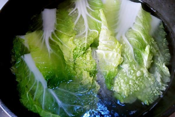 虾仁豆腐白菜卷的做法图解3