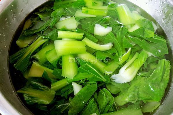 耗油油菜的做法图解4