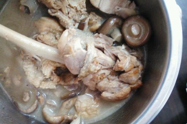 香菇炖土鸡的做法图解6